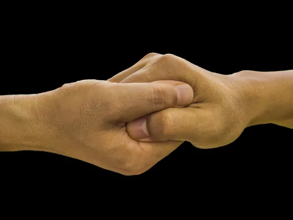 카지노 보난자 게임 지원